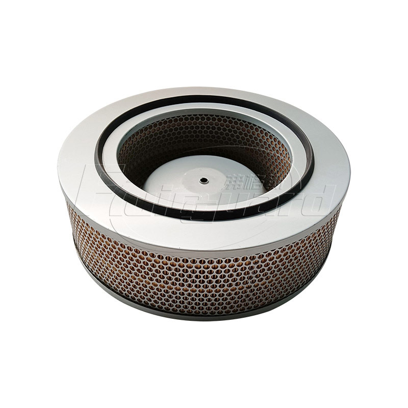B004700770031  replacement air filter element
