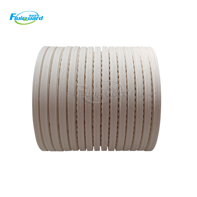 High Quality Replacement Off-line Filter Insert CJC Filter PA5601304